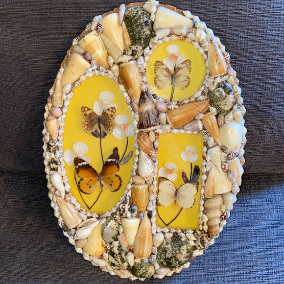 Vintage Taxidermy Butterflies and Flowers Among Shells Shadowbox Wall Art